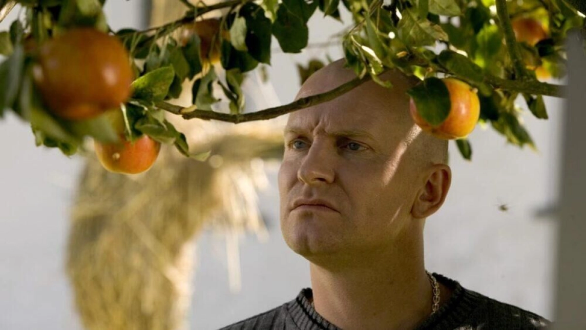 Classics: Adam's Apples - 20th Anniversary